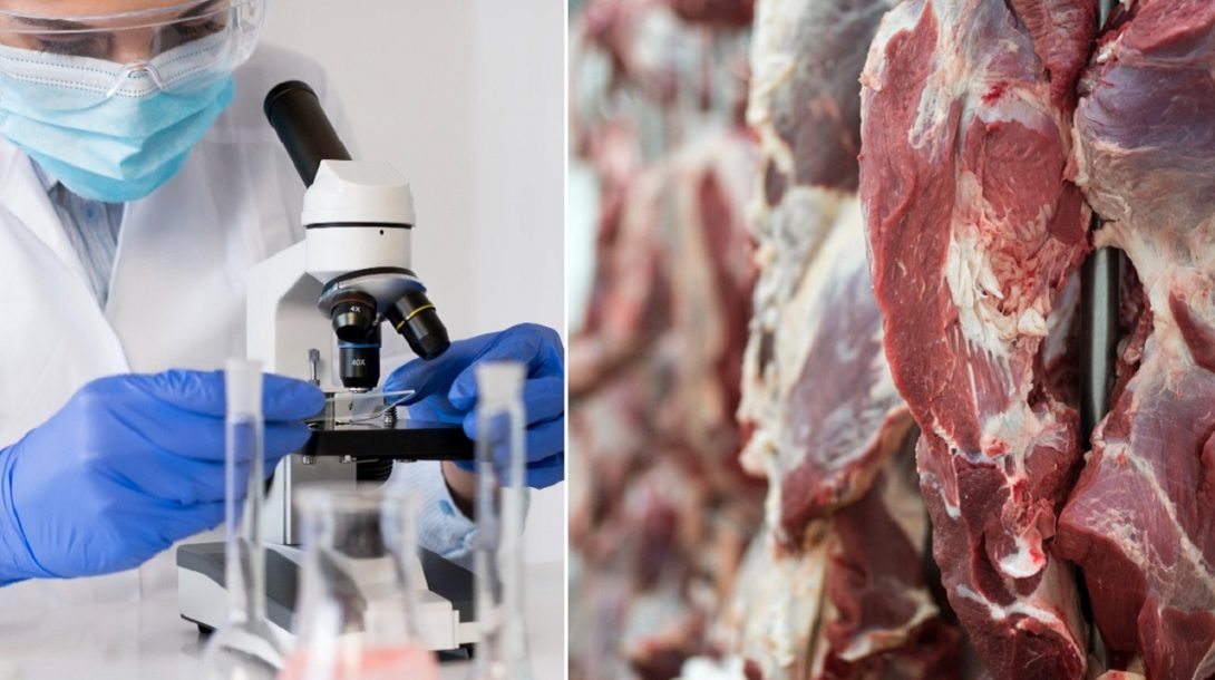 Mäso aké poznáme bude možno čoskoro minulosťou. Izrael začal vyrábať jeho náhradu v továrni s bioreaktormi Pjimage-2021-04-26t101616567-1090x610