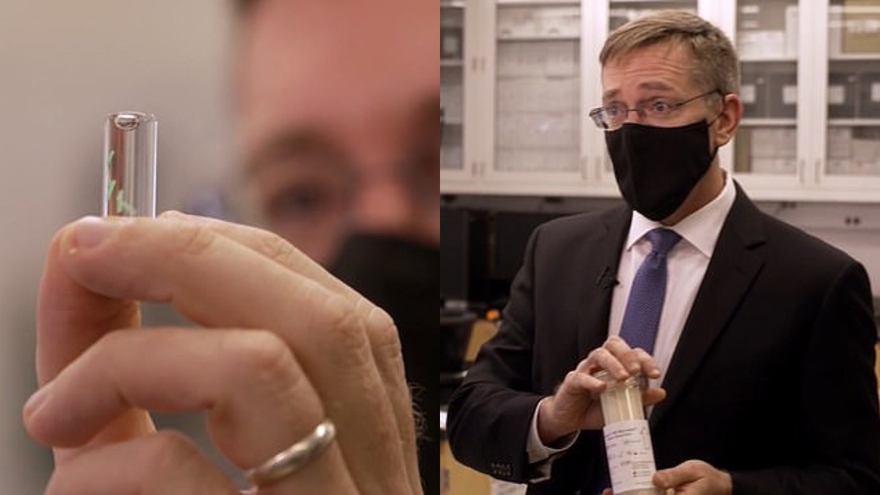 vakcína covid-19 koronavírus veda