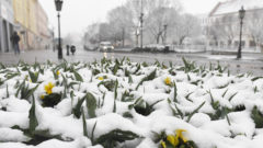 Budúci týždeň spoznáme