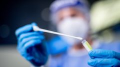 koronavirus, pandemia