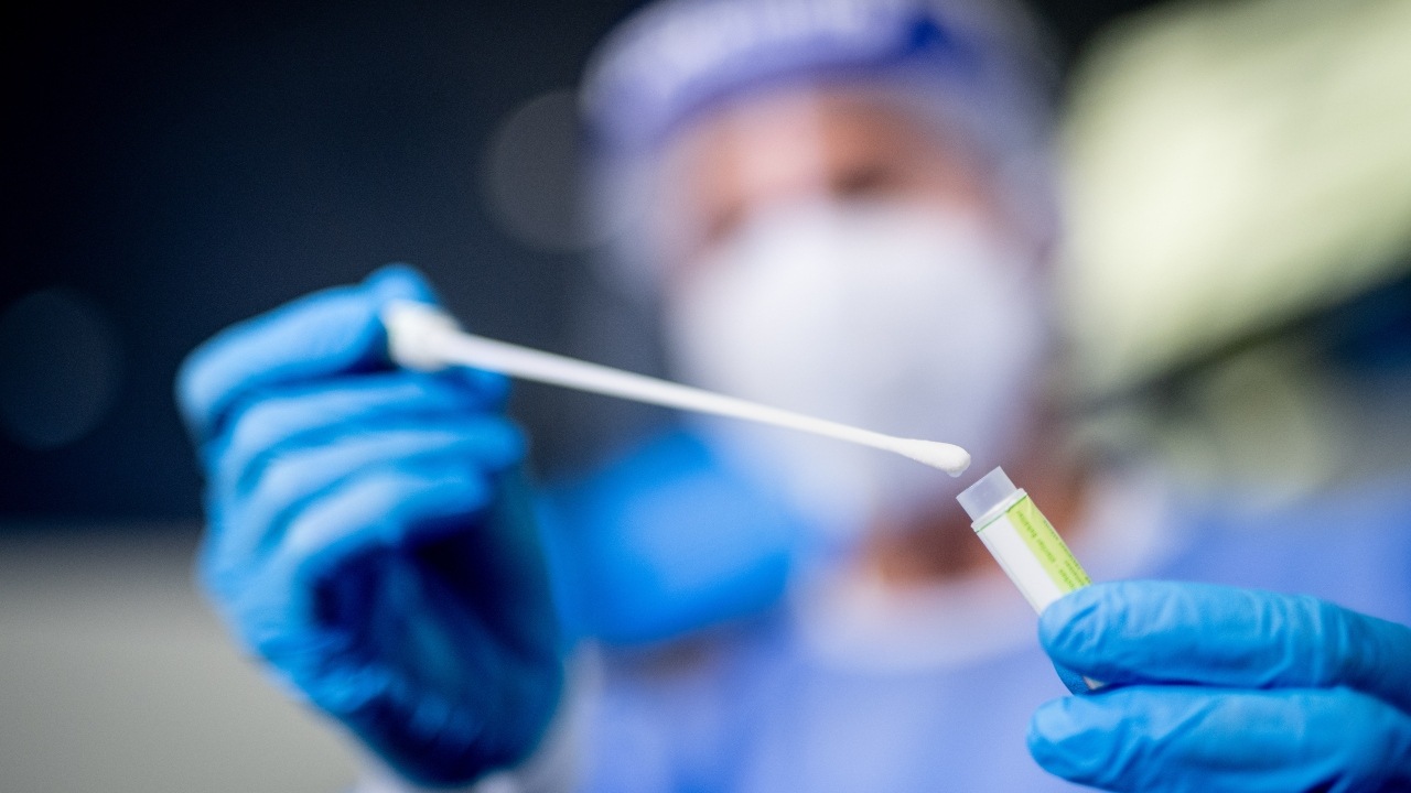 koronavirus, pandemia