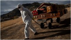 Nová štúdia priniesla