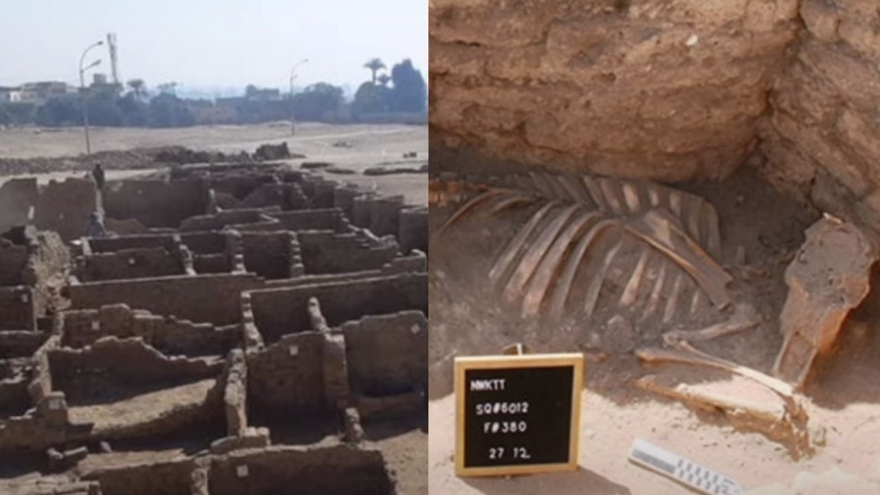 Untitled design – 2021-04-09T124551.828