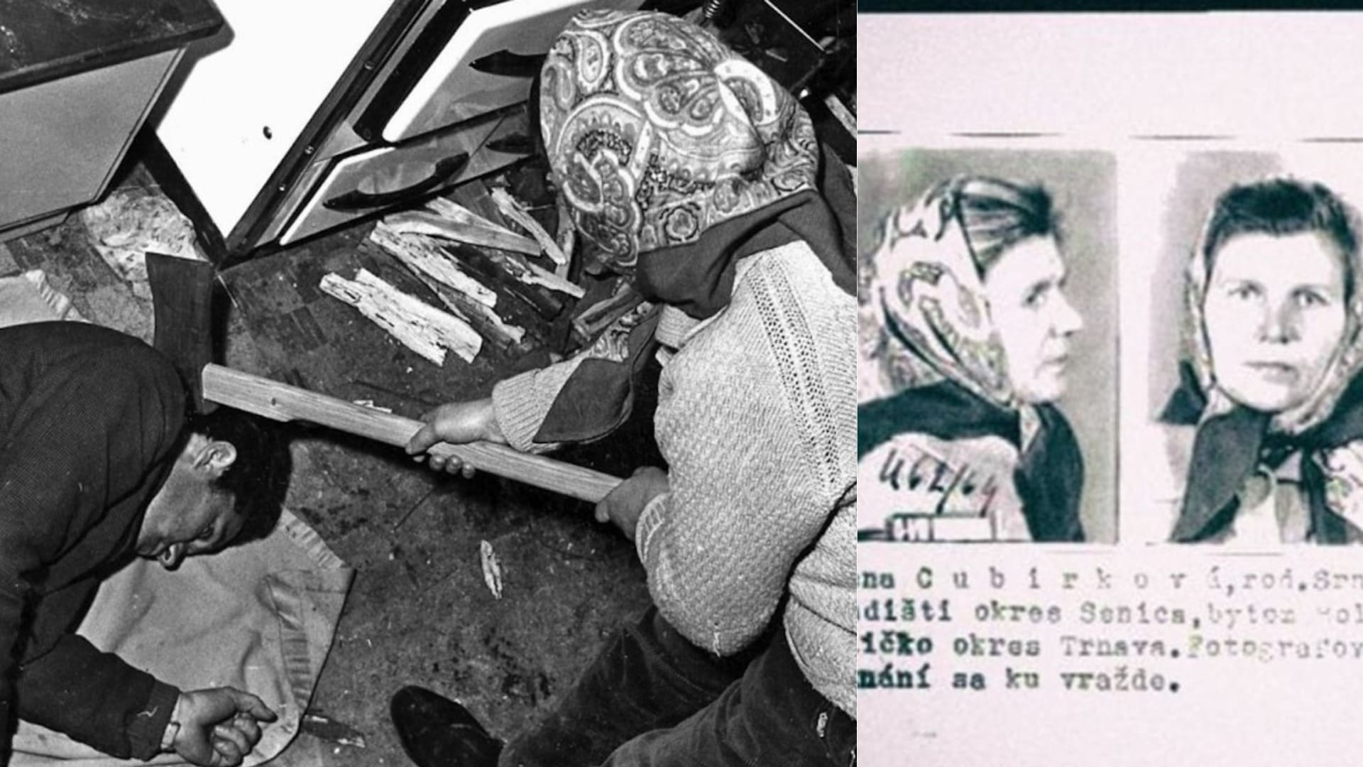 vrahyna Irena Čubírková