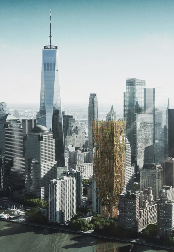 Living Skyscraper For New York City