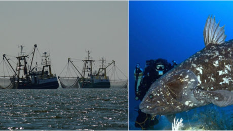 Ilustračný obrázok