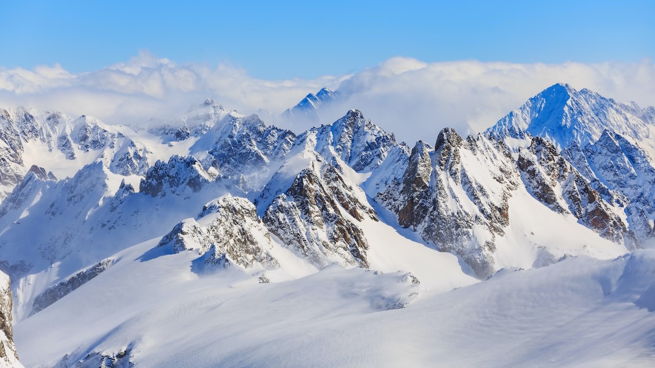 denis-linine-W4o1oWx0k0g-unsplash