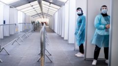 koronavirus, pandemia