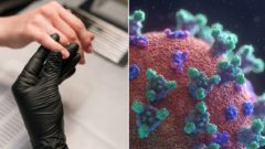 Po prekonaní COVID-19