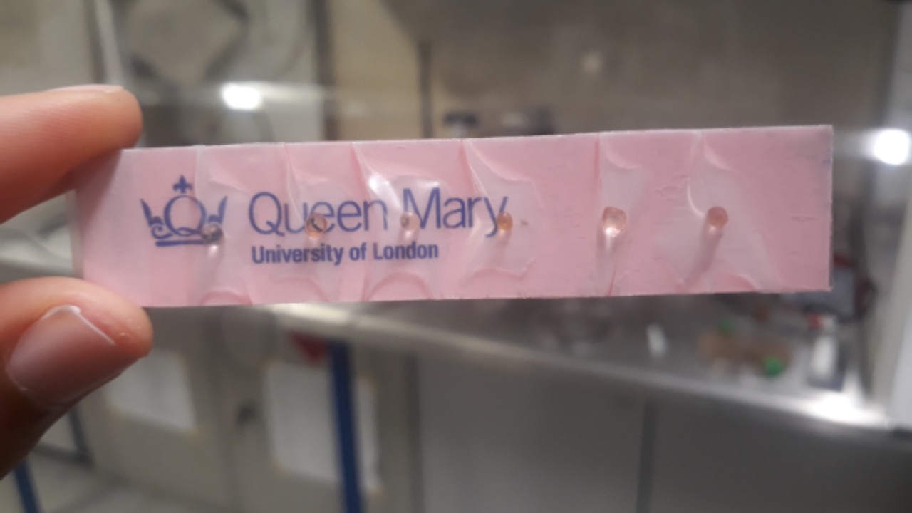 čuchový test covid veda vedci neurologické choroby