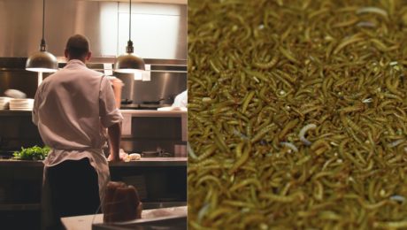 Zabudni na bryndzové