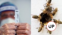 PRELOMOVÝ OBJAV: Vedci