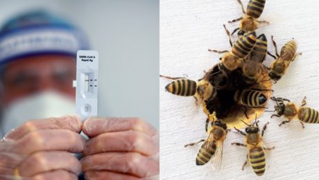 PRELOMOVÝ OBJAV: Vedci