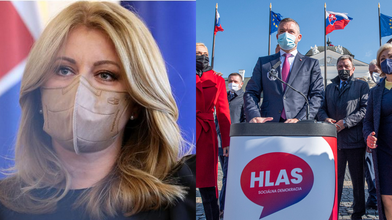 Referendum predčasné voľby