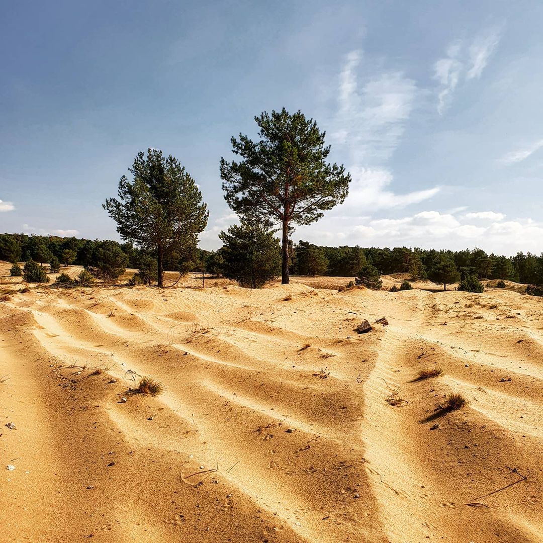 zahorie šranecke piesky