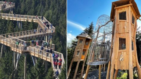 Chodník korunami stromov