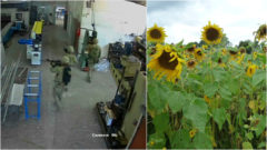 Ilustračný obrázok