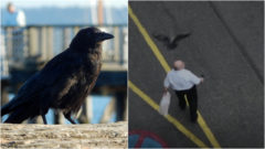 Ilustračný obrázok