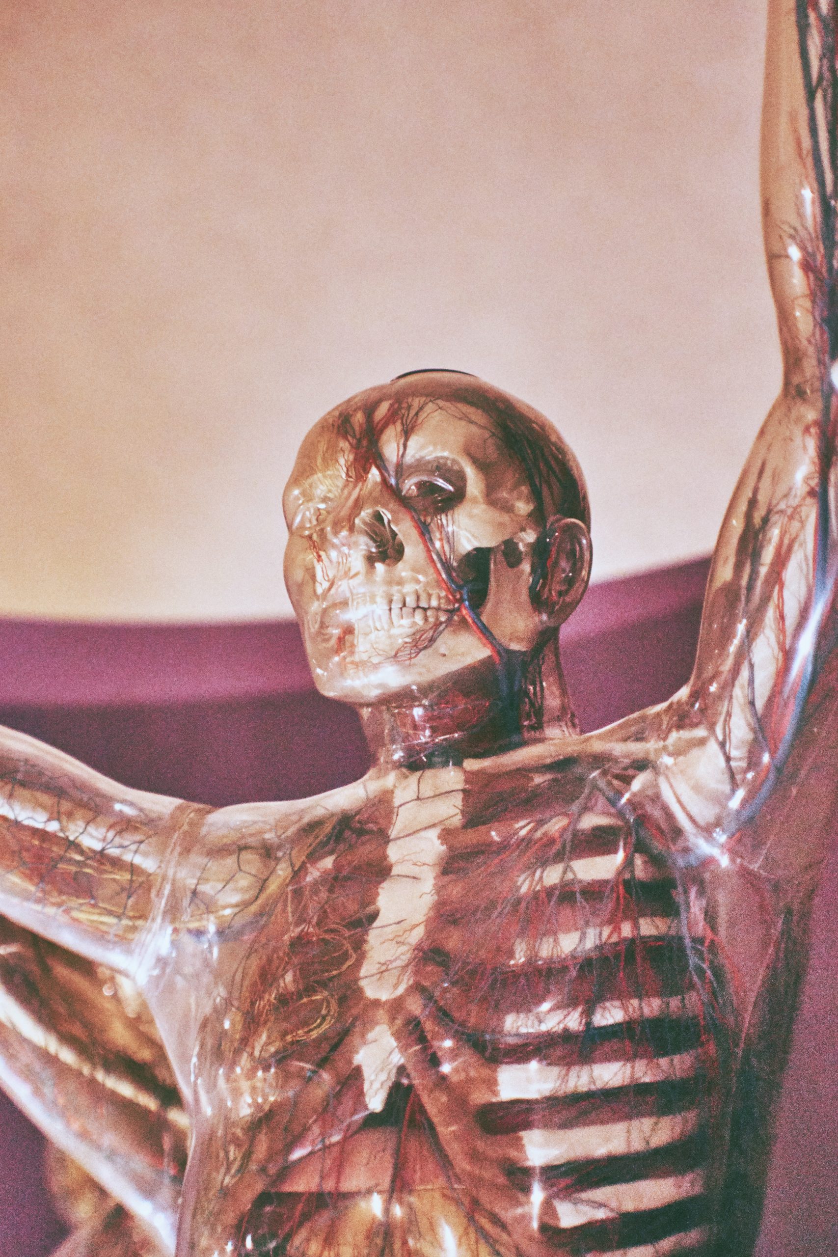 girl-with-red-hat-Jq67nvYwUdE-unsplash