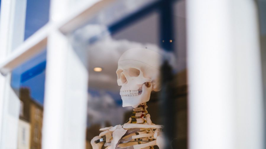 phil-hearing-FbVLwpp41fY-unsplash