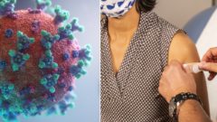 PRELOMOVÝ OBJAV: Vakcíny