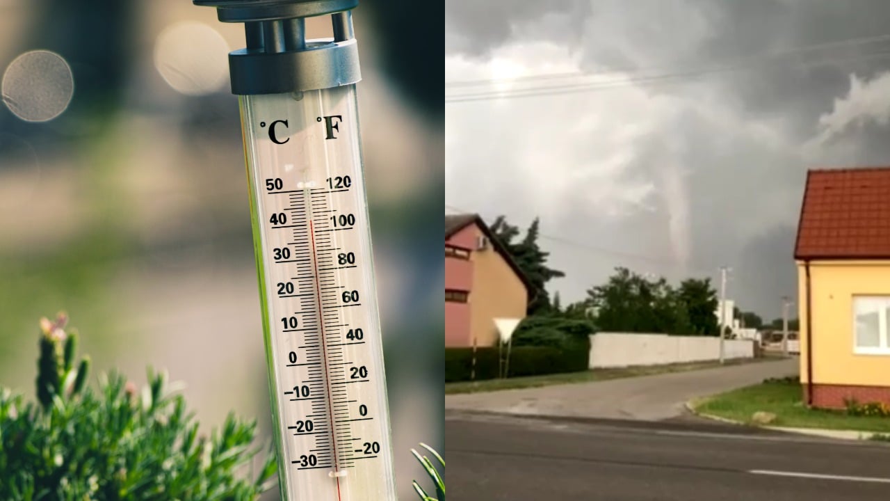 pjimage – 2021-06-24T200854.992