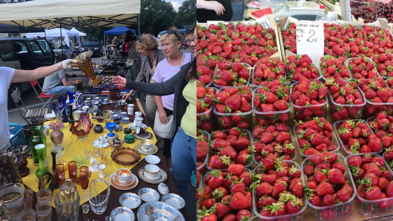 pjimage – 2021-06-25T140034.744