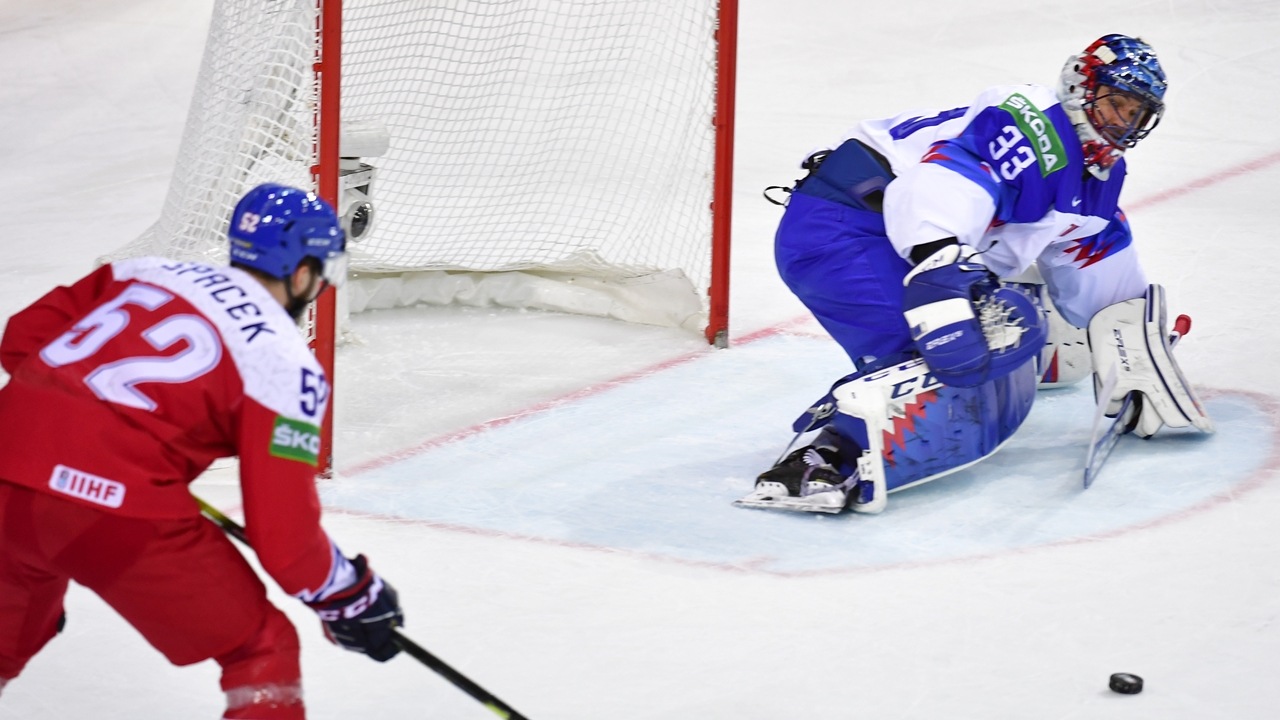 Slovensko Česko hokej