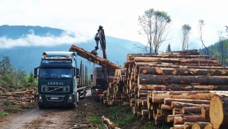 Rozbehla sa petícia,