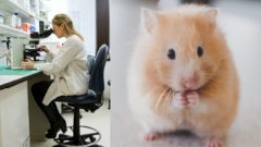 Kontroverzný experiment: Našli