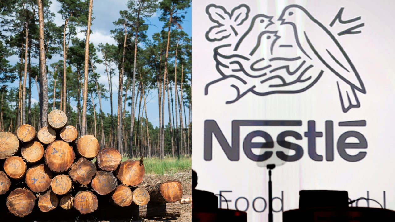 Nestlé