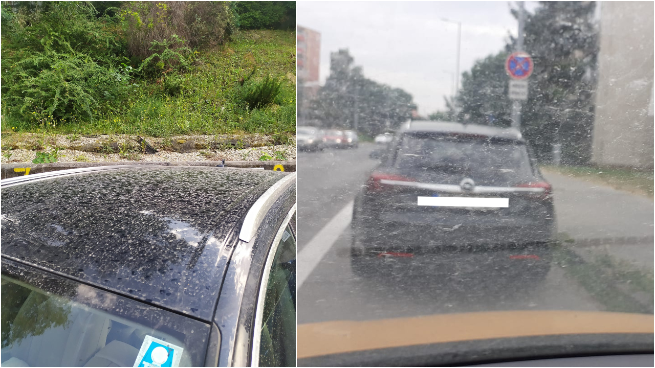 Ilustračný obrázok