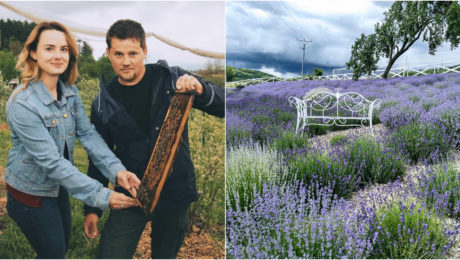 Ilustračný obrázok