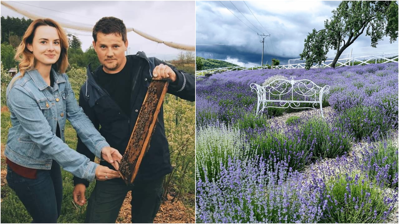 Ilustračný obrázok