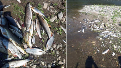 Ilustračný obrázok