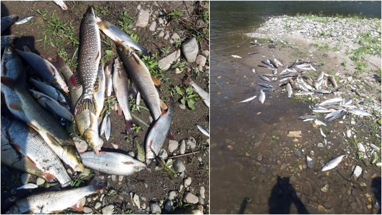 Ilustračný obrázok