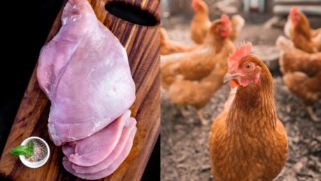 Naozaj jeme domáce?