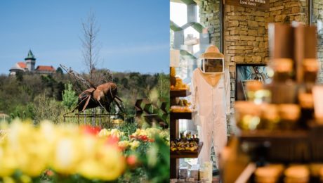 V Smoleniciach výrastol