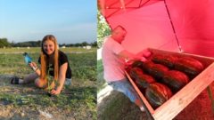 Po jahodovom experimente