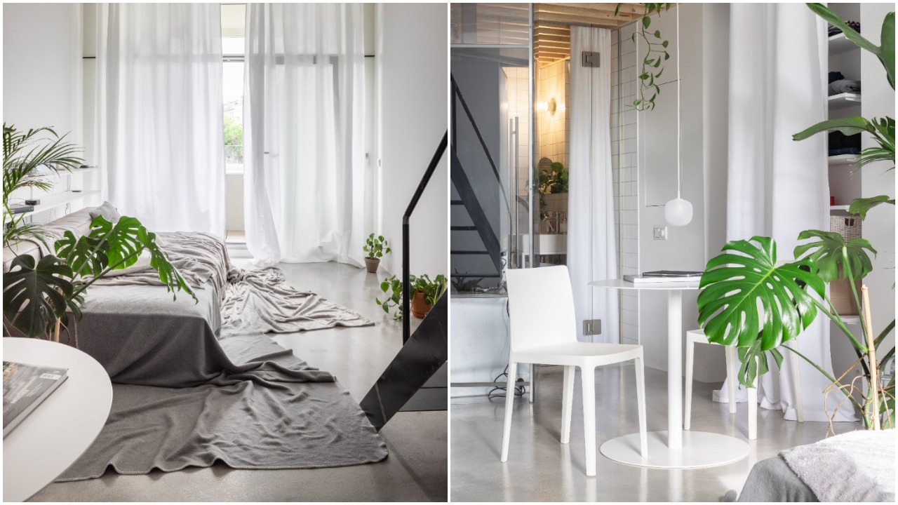 pjimage – 2021-07-01T110739.897