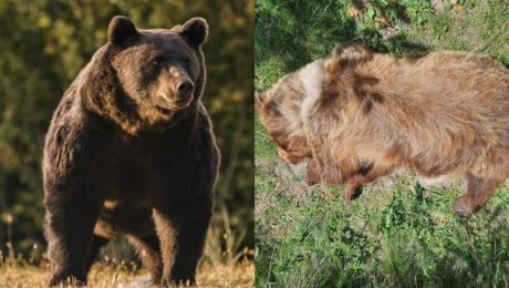 Rieši niekto situáciu