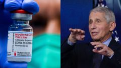 Fauci očkovanie COVID-19 koronavírus