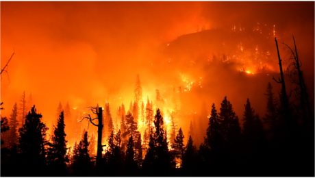 Kanada hlásila 49,6