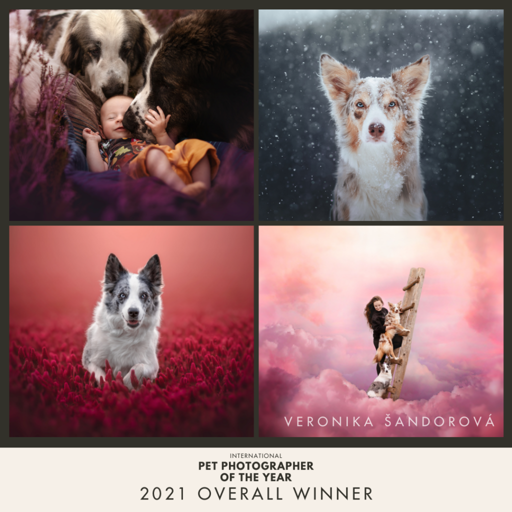 Veronika Šandorová