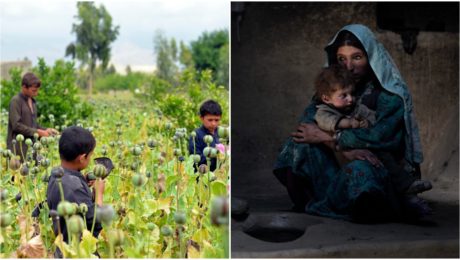 Bohatstvo Talibanu: Drogy