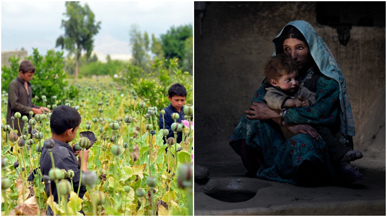 Afganistan ópium
