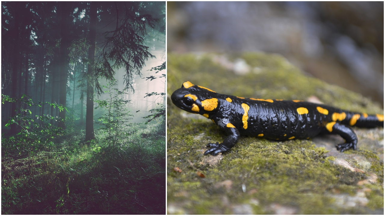 Ilustračný obrázok