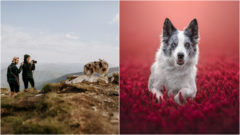 Ilustračný obrázok