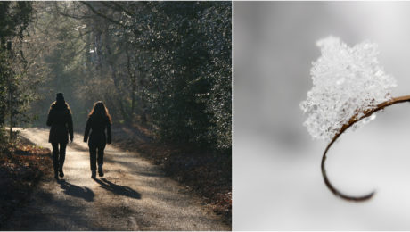 Ilustračný obrázok