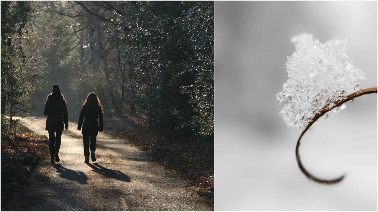 Ilustračný obrázok